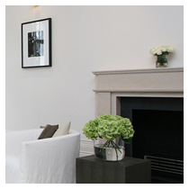 Fire place by Signature fires